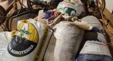 Guimarânia – Policia Militar prende dois jovens por furto de café na zona rural Guimarânia – Policia Militar prende dois jovens por furto de café na zona rural