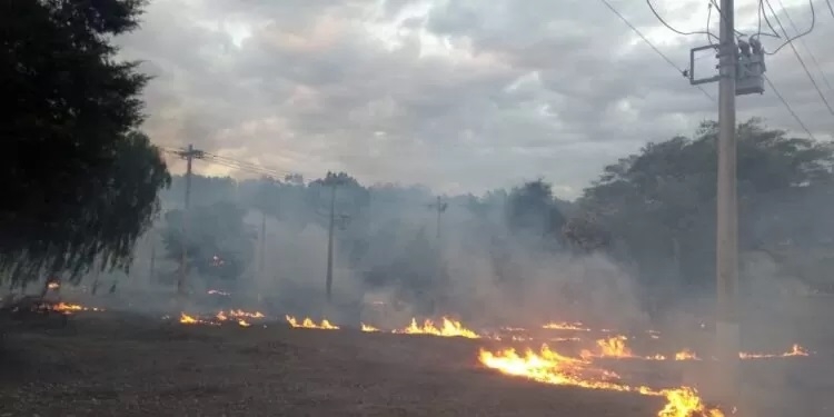 Cemig registra quase 2 mil alertas de incêndio próximos à rede elétrica no 1º semestre de 2025 Cemig registra quase 2 mil alertas de incêndio próximos à rede elétrica no 1º semestre de 2025