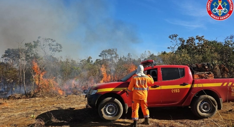 Incêndio destruiu cerca de 540 hectares na Região do Pântano; no município de Coromandel 