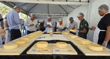Divulgado resultado do Concurso Regional do Queijo Minas Artesanal da Canastra