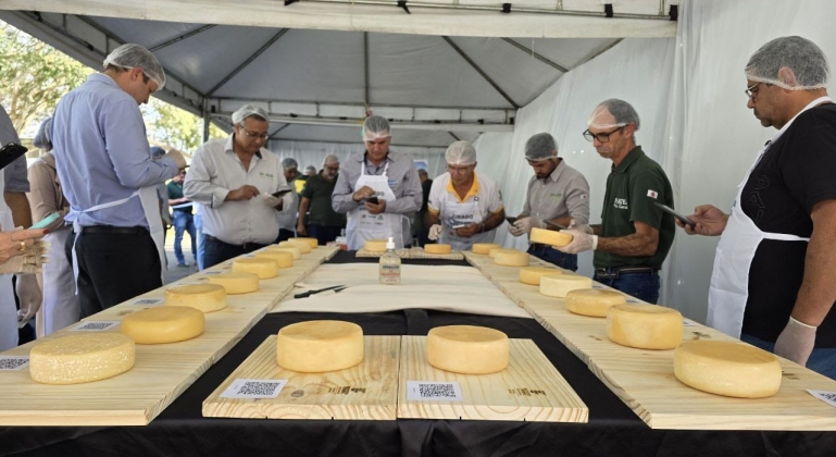 Divulgado resultado do Concurso Regional do Queijo Minas Artesanal da Canastra