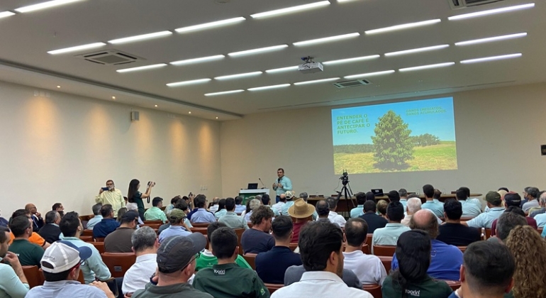  Safra de café apresenta menor rendimento em 2025 e novos desafios em 2026, aponta Fórum Técnico da Cooxupé