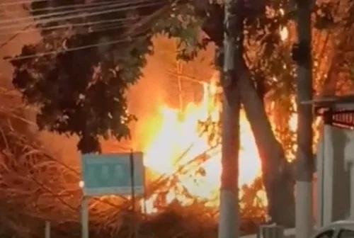 Patos de Minas - Incêndio em bambuzal mobiliza Corpo de Bombeiros no Parque da Biquinha Patos de Minas - Incêndio em bambuzal mobiliza Corpo de Bombeiros no Parque da Biquinha