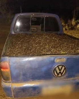 Furto de café em fazenda é flagrado pela Polícia Militar e suspeito acaba preso; em Patos de Minas Furto de café em fazenda é flagrado pela Polícia Militar e suspeito acaba preso; em Patos de Minas