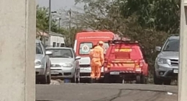 Bombeiros de Patos de Minas capturam cães da raça Pitbull; após ataque aos próprios donos no bairro Planalto Bombeiros de Patos de Minas capturam cães da raça Pitbull; após ataque aos próprios donos no bairro Planalto