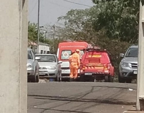 Bombeiros de Patos de Minas capturam cães da raça Pitbull; após ataque aos próprios donos no bairro Planalto Bombeiros de Patos de Minas capturam cães da raça Pitbull; após ataque aos próprios donos no bairro Planalto