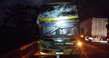 Árvore cai sobre a BR-262 e atinge caminhão e ônibus da Gontijo com 27 passageiros Árvore cai sobre a BR-262 e atinge caminhão e ônibus da Gontijo com 27 passageiros
