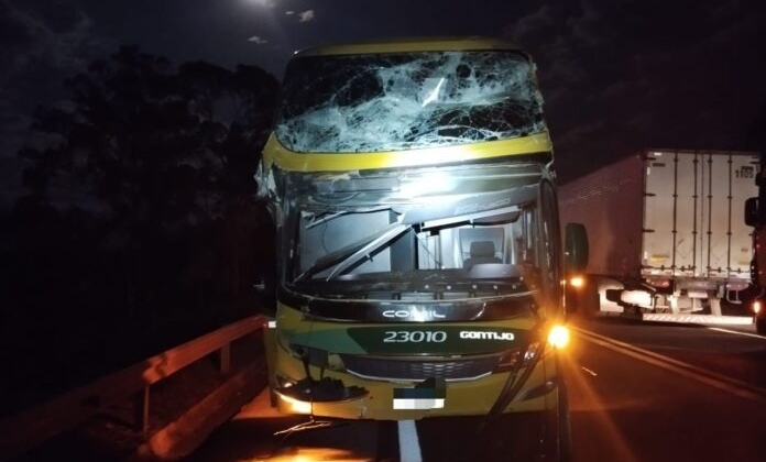 Árvore cai sobre a BR-262 e atinge caminhão e ônibus da Gontijo com 27 passageiros Árvore cai sobre a BR-262 e atinge caminhão e ônibus da Gontijo com 27 passageiros