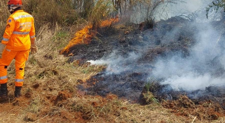 Patos de Minas - Incêndio de grandes proporções atinge Mata do Catingueiro Patos de Minas - Incêndio de grandes proporções atinge Mata do Catingueiro
