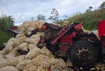 Motorista de caminhão morre em grave acidente na BR-354; no município de São Gotardo 