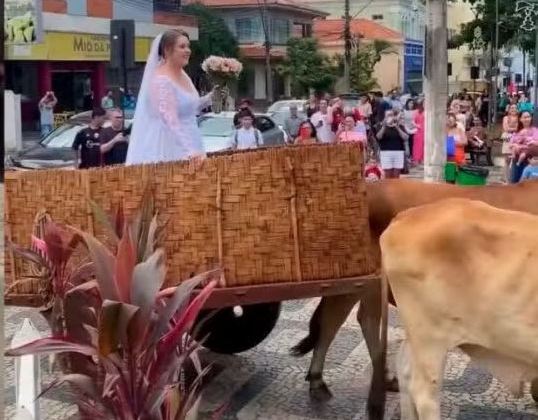 Noiva resgata raízes e chega de carro de boi para casamento em cidade de Minas Gerais 