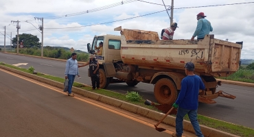 Secretaria de Meio Ambiente realiza plantio de dezenas de mudas de jambo-do-Pará no prolongamento da Avenida Manoel Soares 