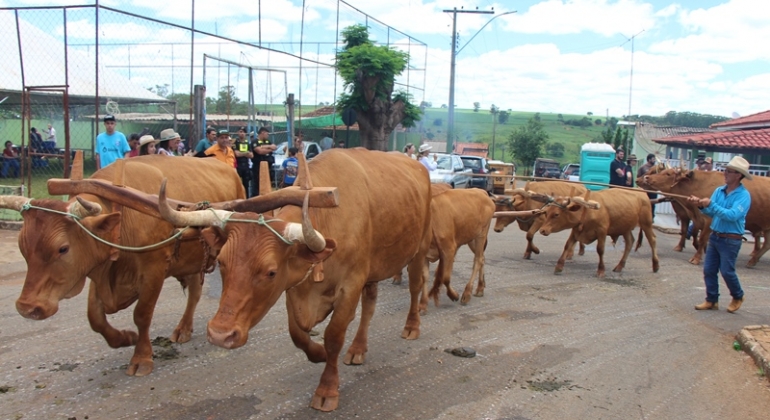 Desfile de Carros de Bois reúne tradição e grande público em Monjolinho de Minas