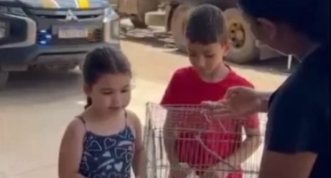 Crianças vítimas de acidente na BR-365 reencontra calopsita que estava no automóvel