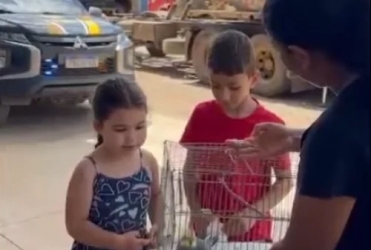 Crianças vítimas de acidente na BR-365 reencontra calopsita que estava no automóvel