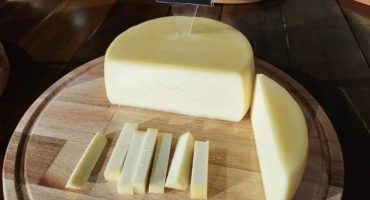 Família de Patos de Minas produz um dos queijos mais premiados do município 