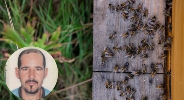 Homem de 42 anos morre em ataque de abelhas que deixou 18 vítimas; em Rio Paranaíba 
