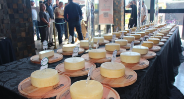 Lagoa Formosa sedia o 15º Concurso de Queijo Minas Artesanal do Cerrado 